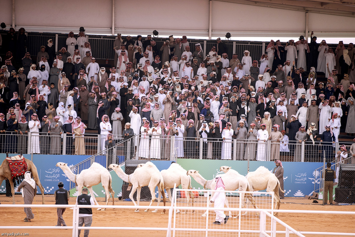 اليوم الرابع