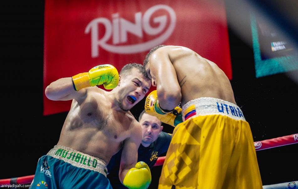 بعد تحدي 8 أشهر.. أربعة أبطال يختتمون «WBC Boxing Grand Prix»